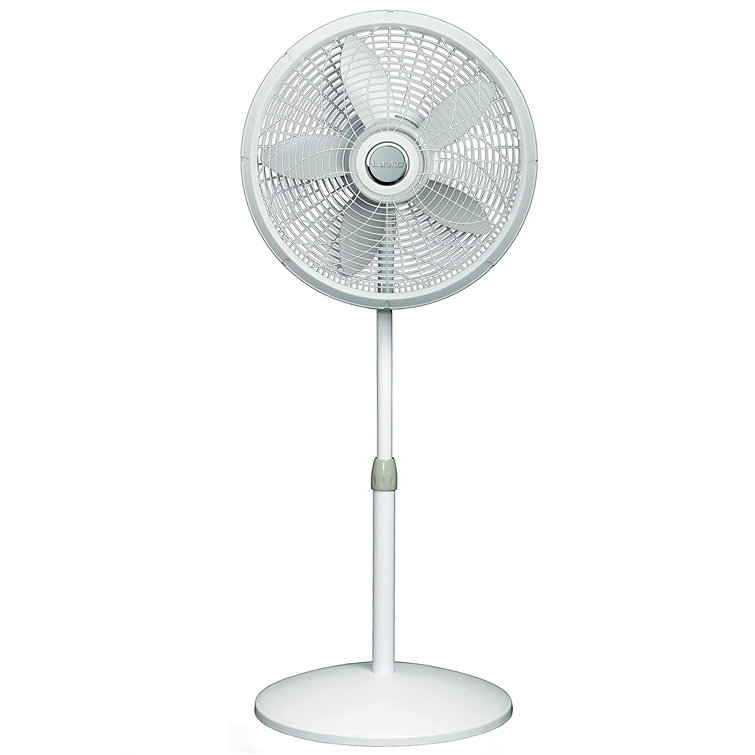 Lasko 20'' Oscillating Pedestal/Standing Fan & Reviews Wayfair.ca